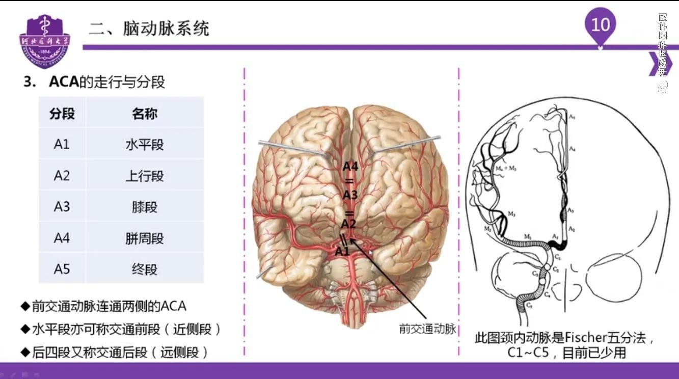 微信图片_20210701134529.jpg