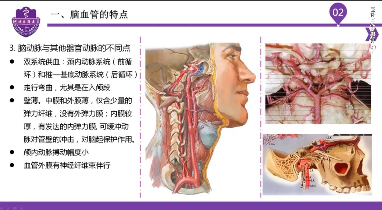 微信图片_20210701134450.jpg