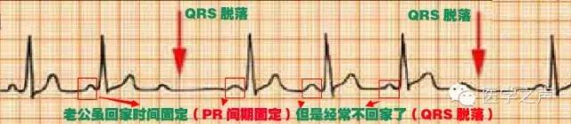 微信图片_20210518164429.jpg