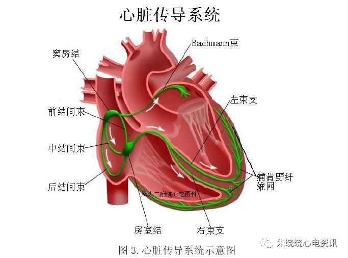 微信图片_20220325102426.jpg