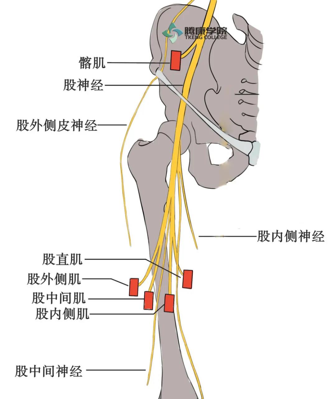微信图片_20210525111036.jpg