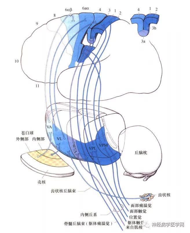 微信图片_20211206093038.jpg