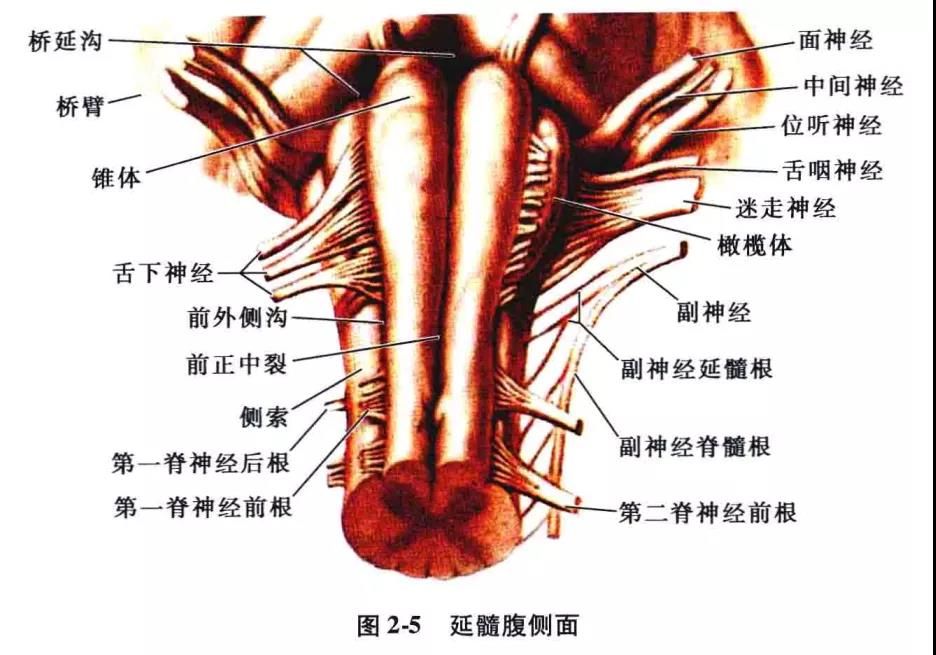 微信图片_20210826162014.jpg