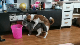 微信图片_20200922181214.gif