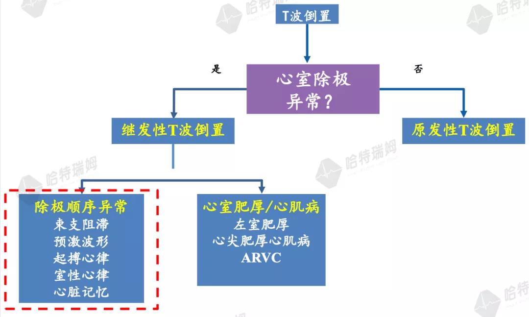 微信图片_20210310175341.jpg
