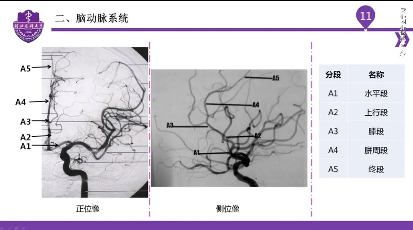 微信图片_20210701134538.jpg