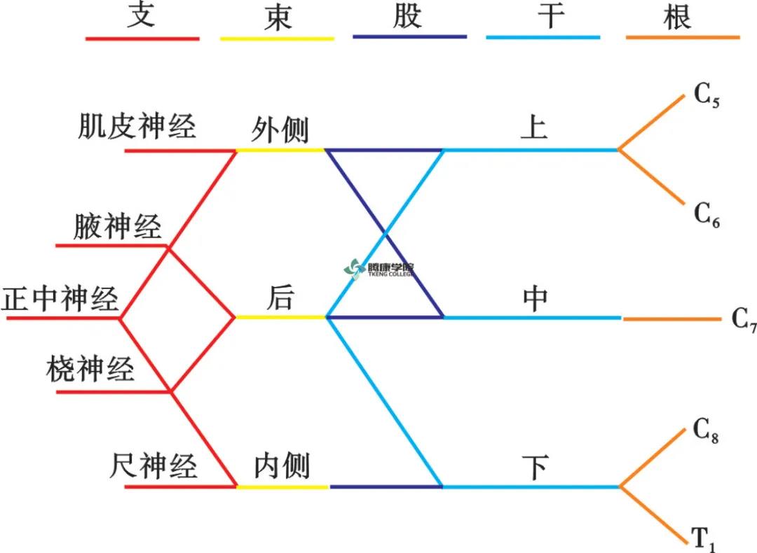 微信图片_20210420171855.jpg