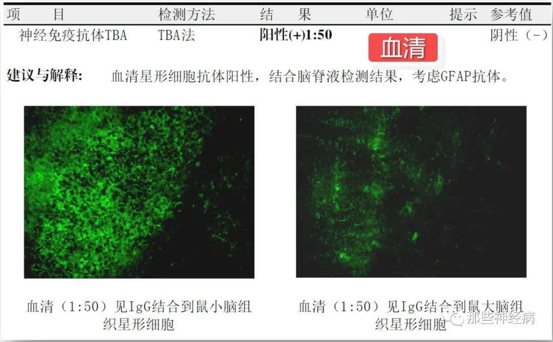 微信图片_20211020152759.jpg