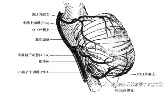微信图片_20210111145331.png