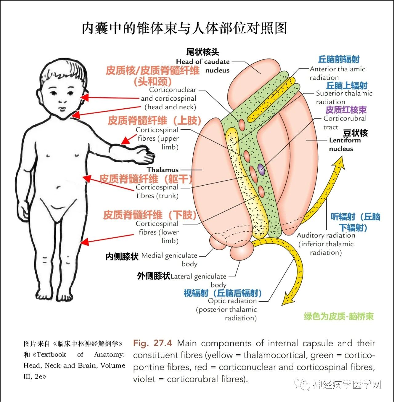 微信图片_20210316163341.jpg