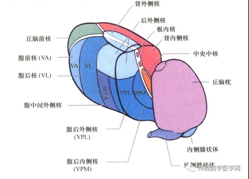 微信图片_20211206092946.jpg