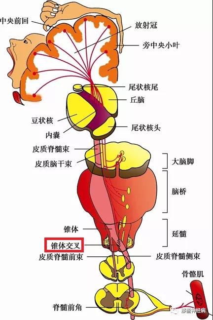 微信图片_20220106093914.jpg