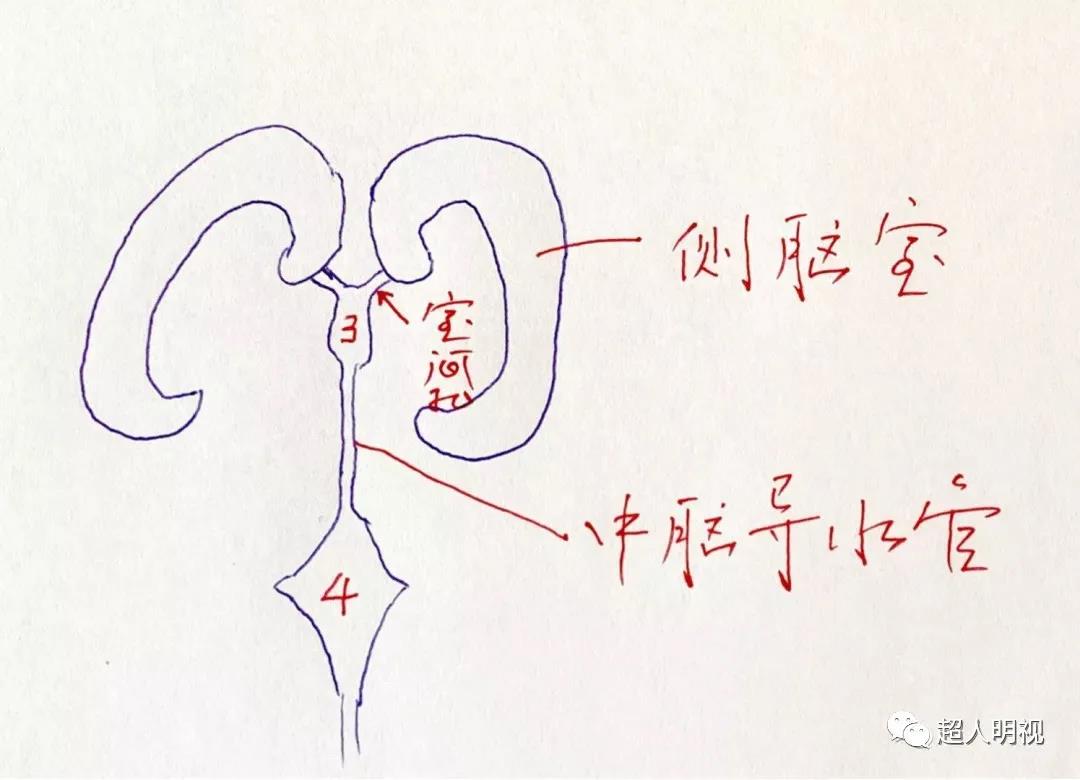 微信图片_20210111143905.jpg