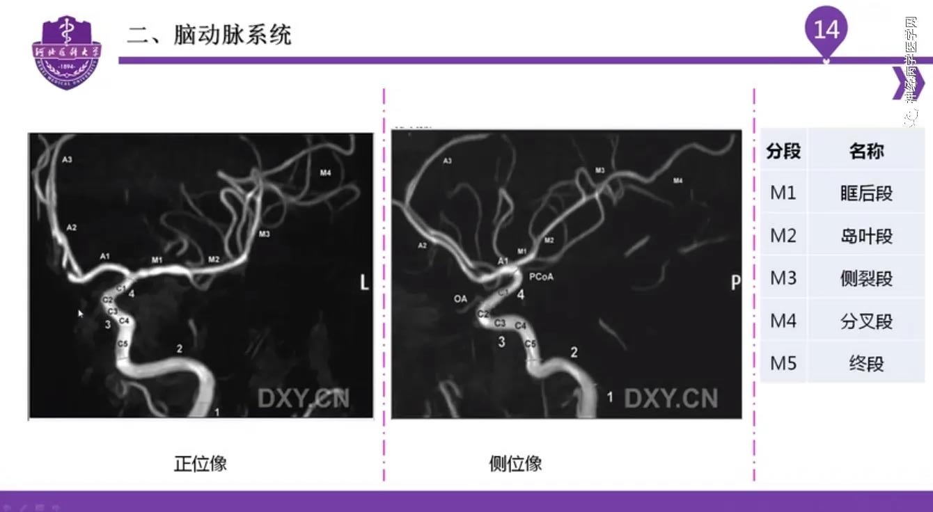 微信图片_20210701134554.jpg