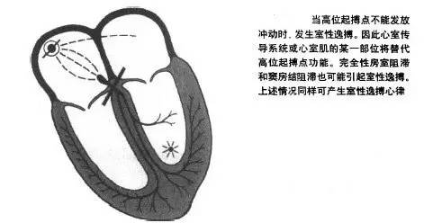 微信图片_20201113154143.jpg