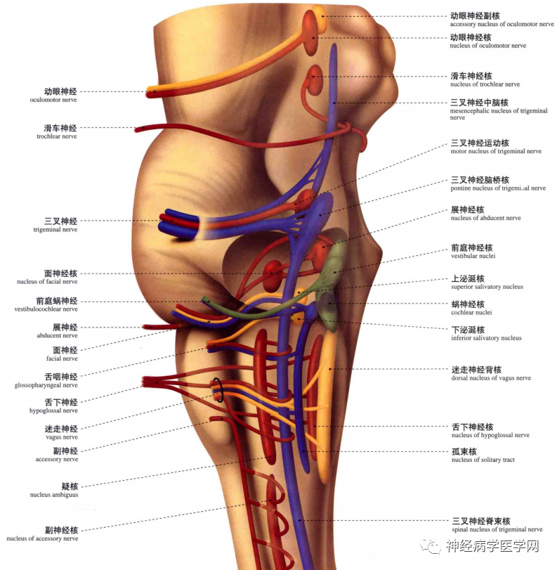 微信图片_20210128164358.png