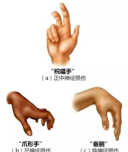 微信图片_20220616155118.jpg