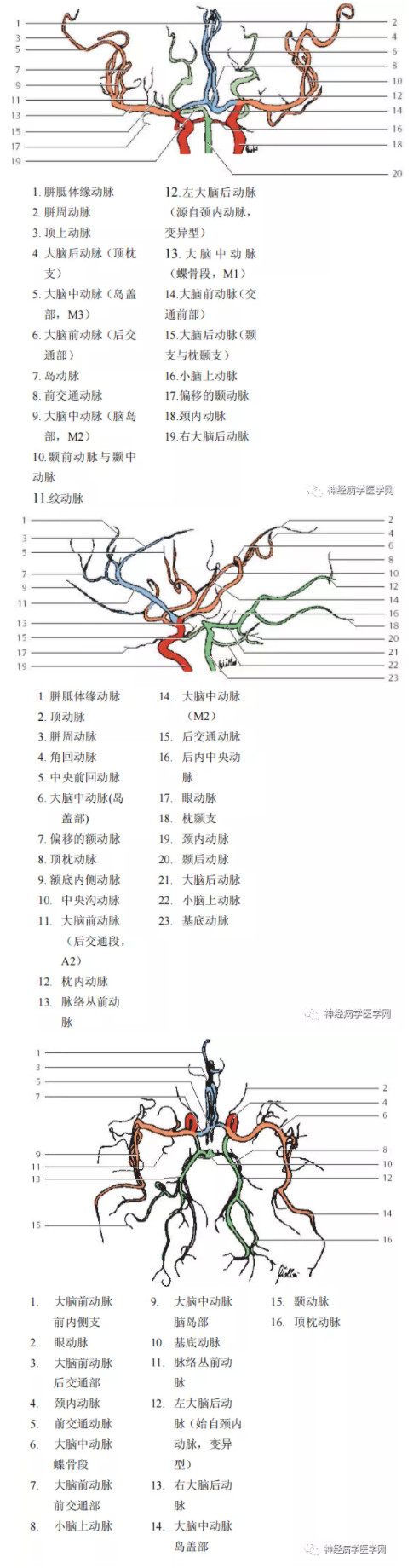 脑CT6.jpg