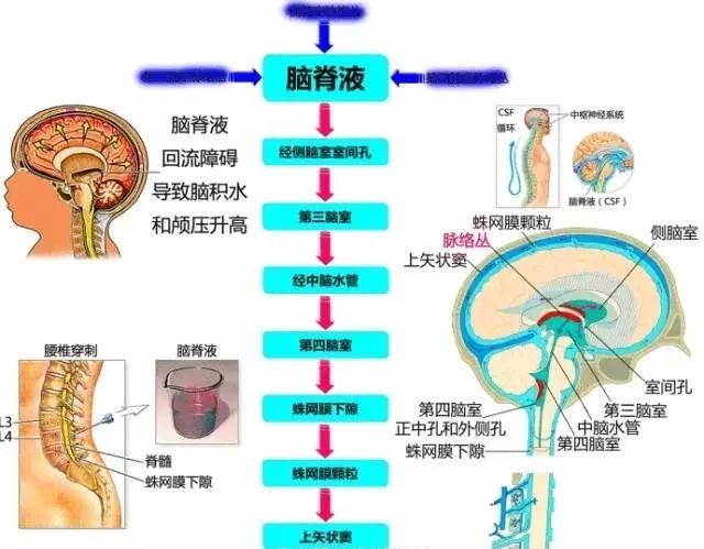 微信图片_20220616155117.jpg