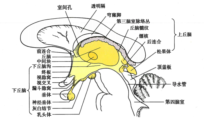 微信图片_20210316163354.png