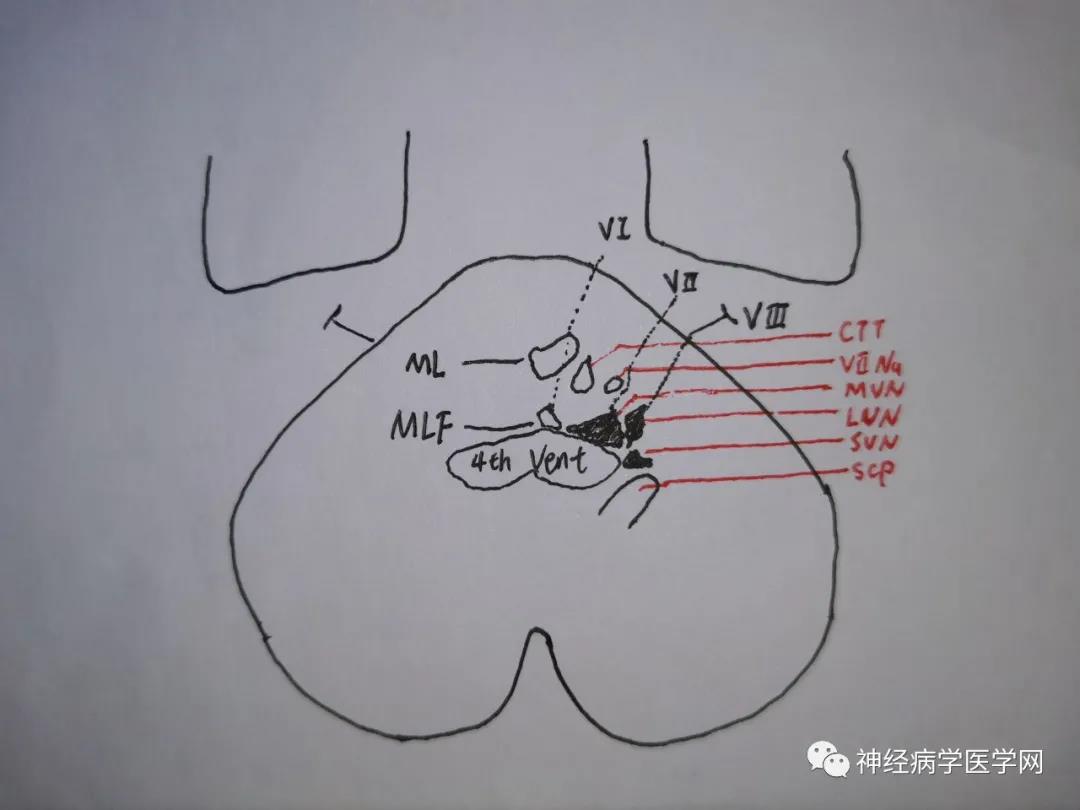 微信图片_20210810152339.jpg