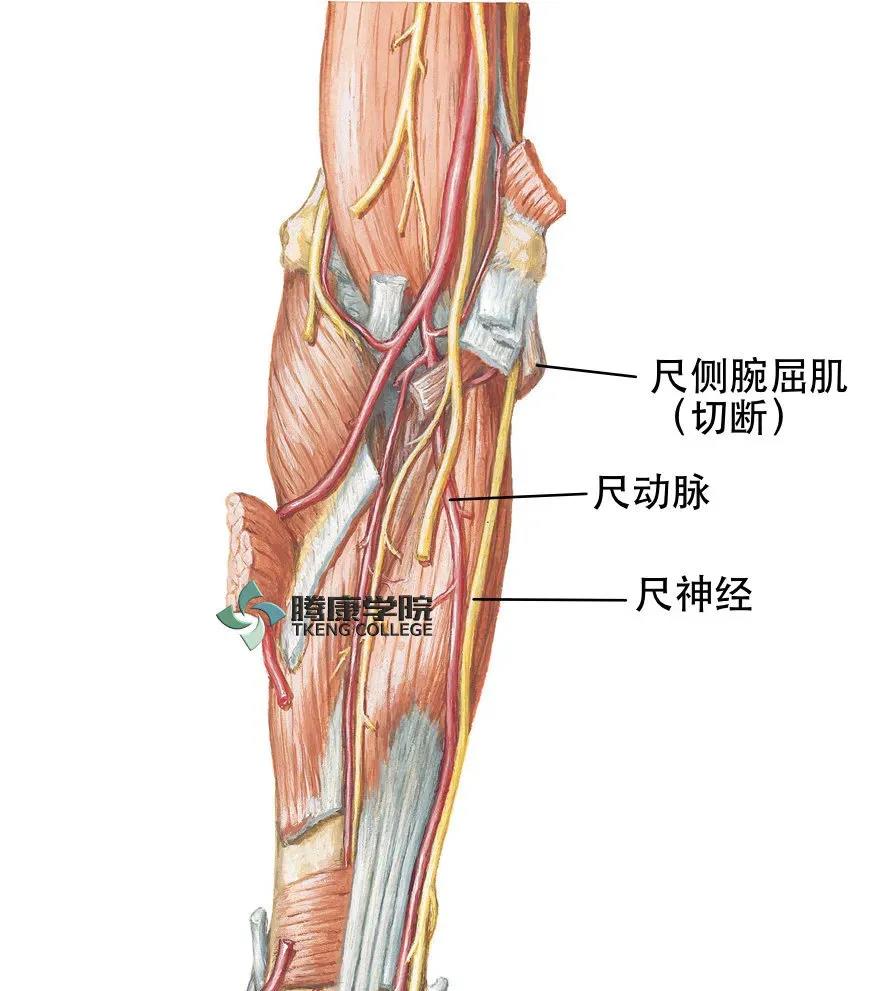 微信图片_20210413164303.jpg