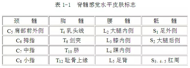 胸12平面图片