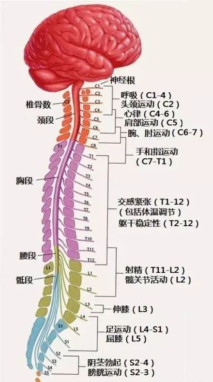 微信图片_20220616155111.jpg