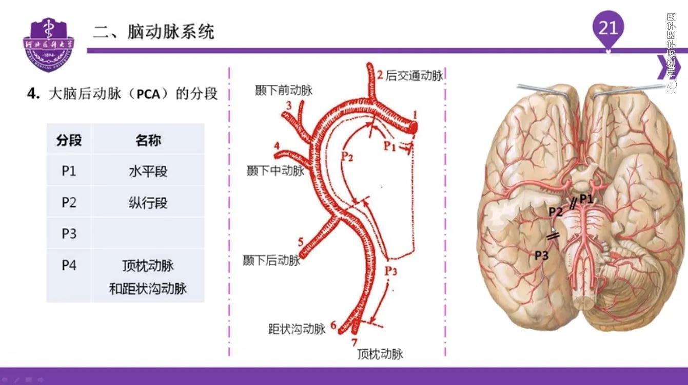 微信图片_20210701134622.jpg