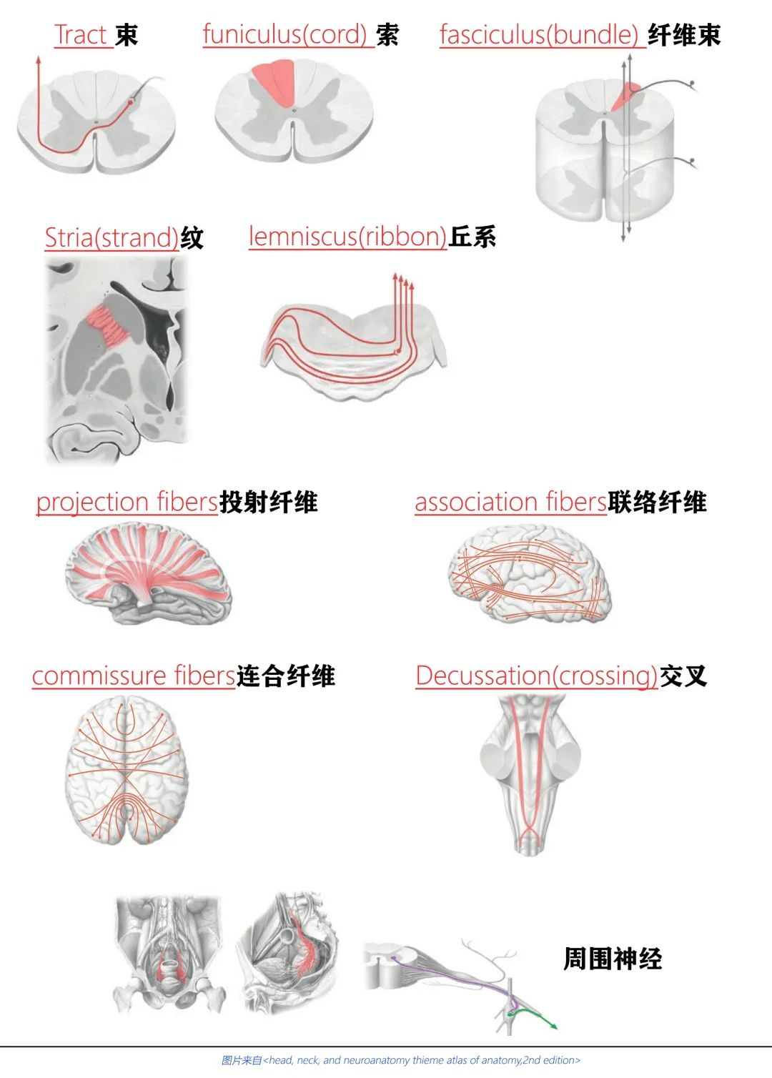 微信图片_20210330153255.jpg