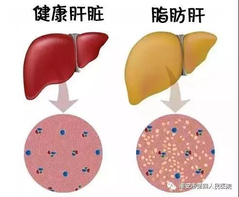 微信图片_20210804142315.jpg