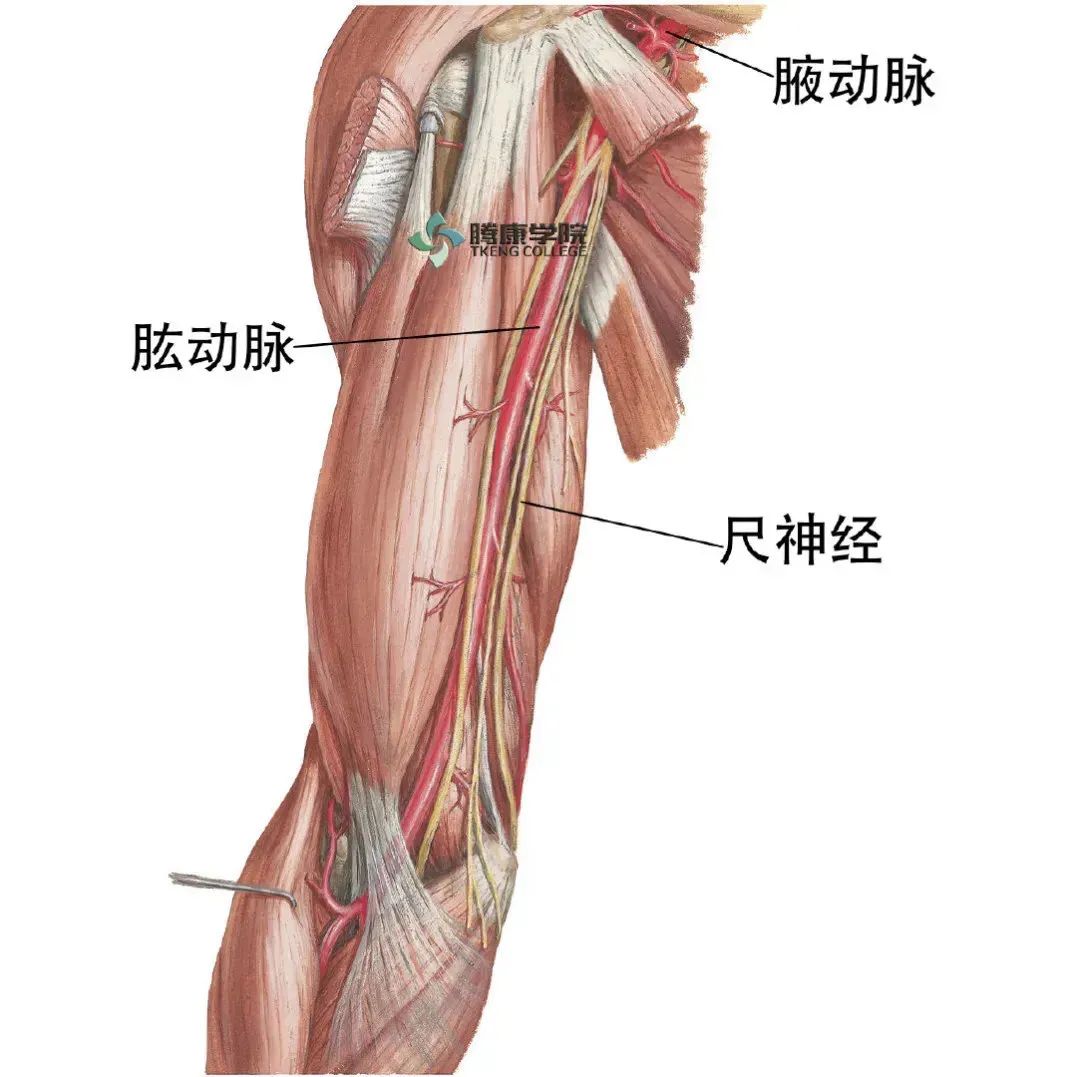 微信图片_20210422174922.jpg