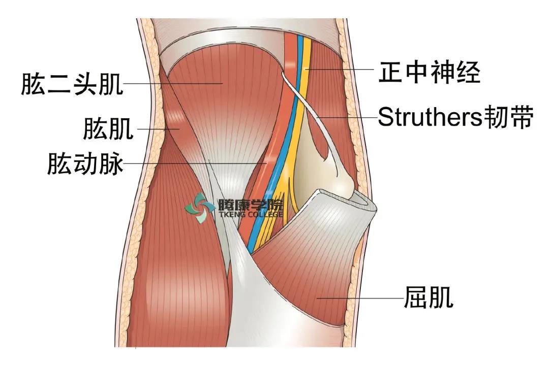 微信图片_20210413164308.jpg