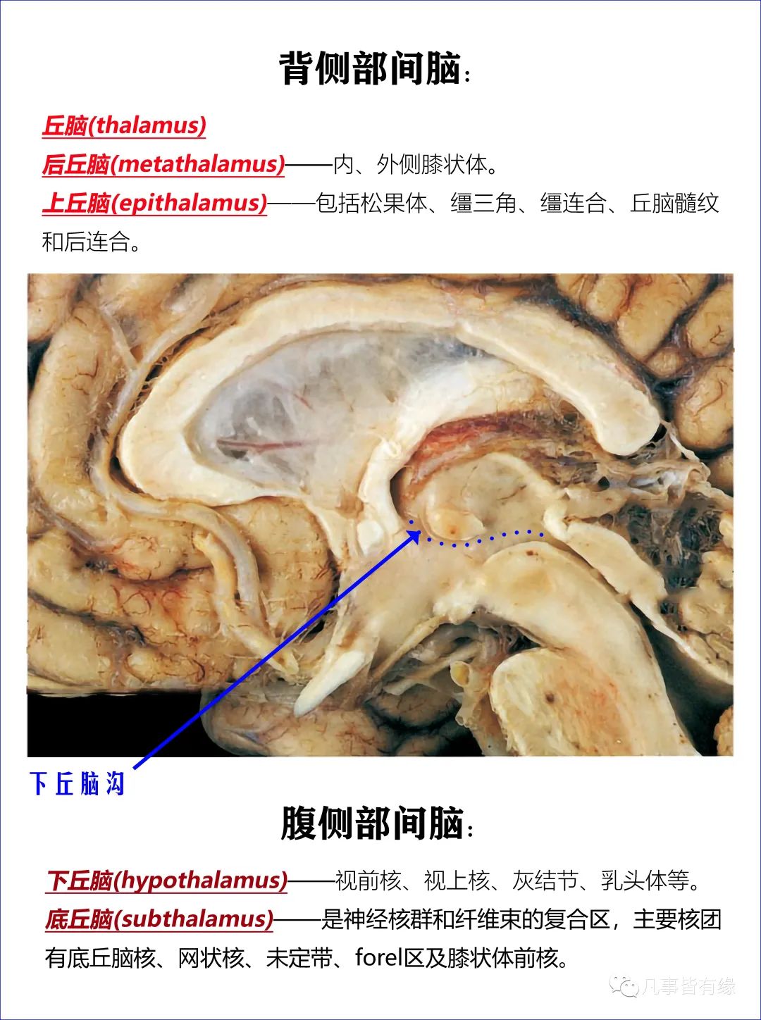 微信图片_20211028154010.jpg