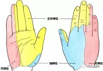 微信图片_20220616155119.jpg