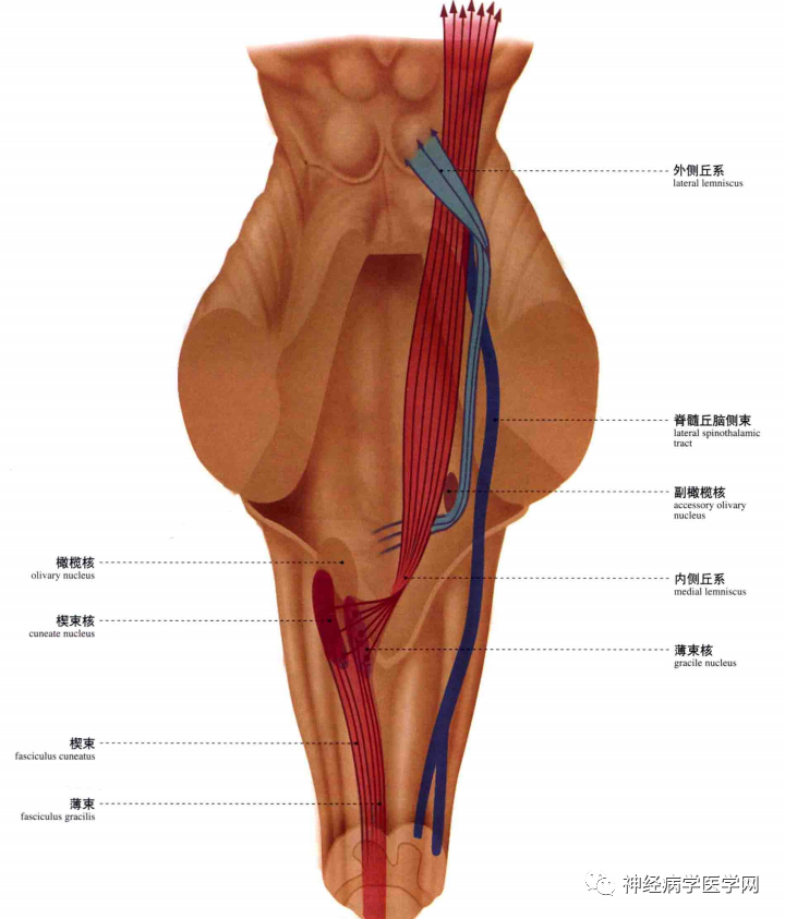 微信图片_20210128164403.png