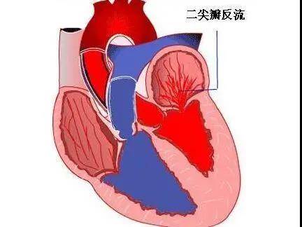 微信图片_20210914135109.jpg