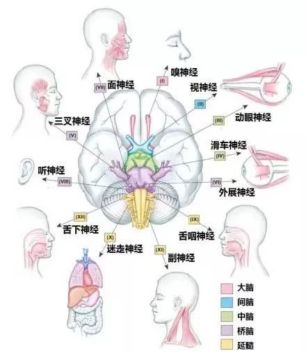 微信图片_20220616155056.jpg