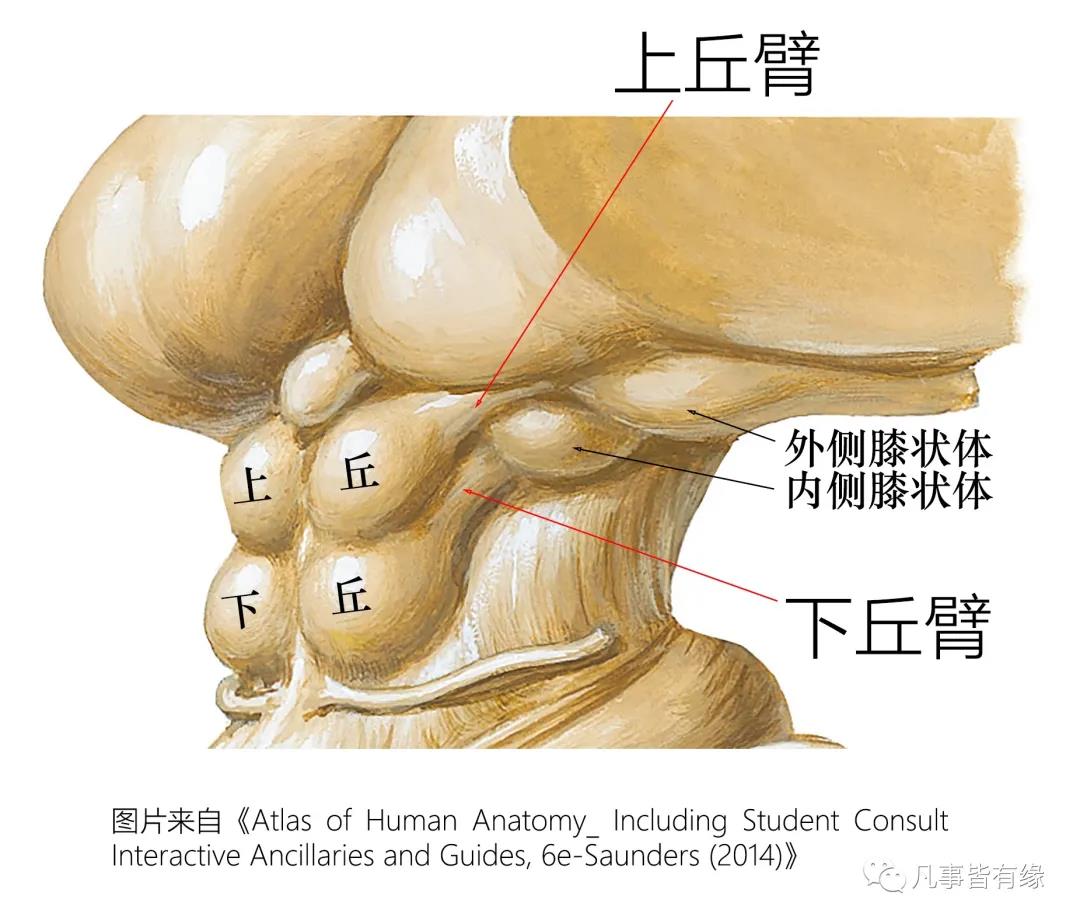 微信图片_20220217150431.jpg