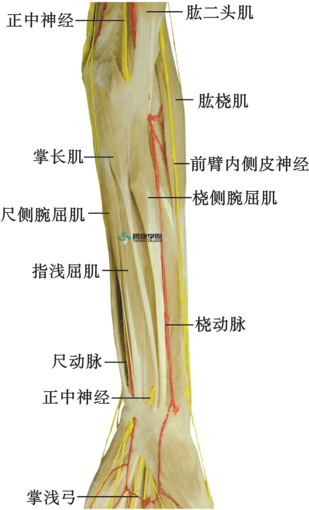 微信图片_20210420171922.jpg