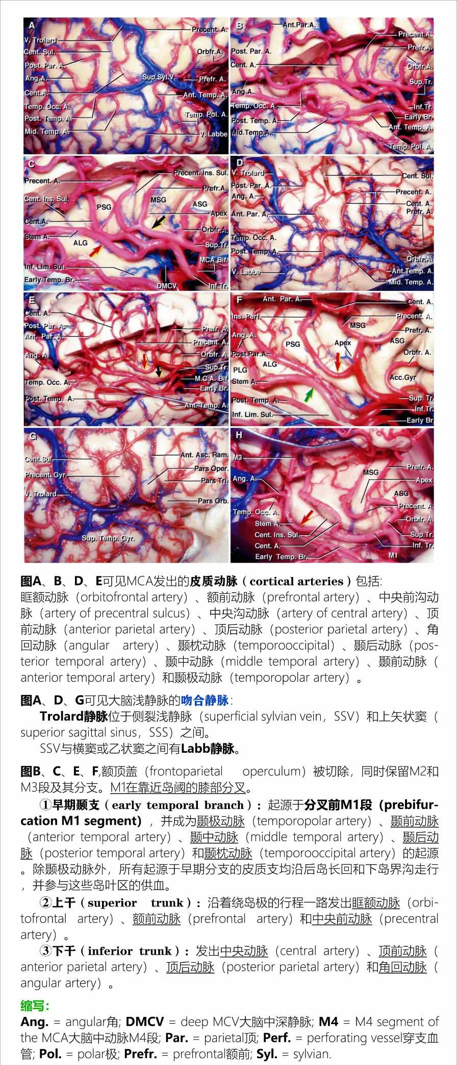 微信图片_20210524144006 (1).jpg