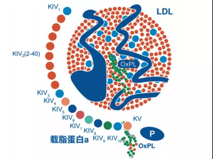 微信图片_20211230145616.jpg