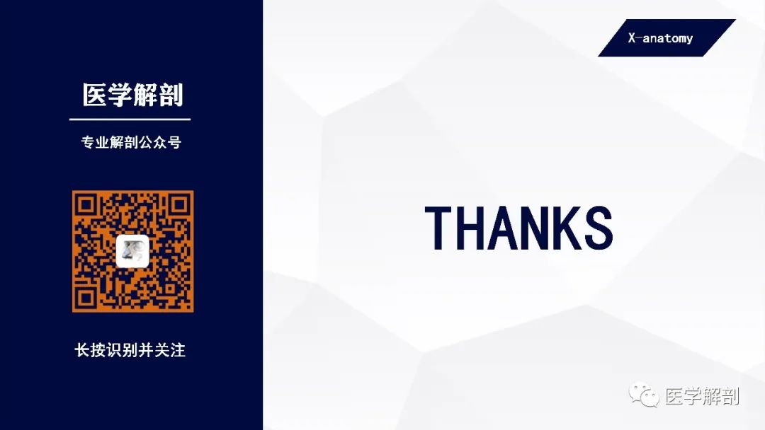 微信图片_20220309163800.jpg