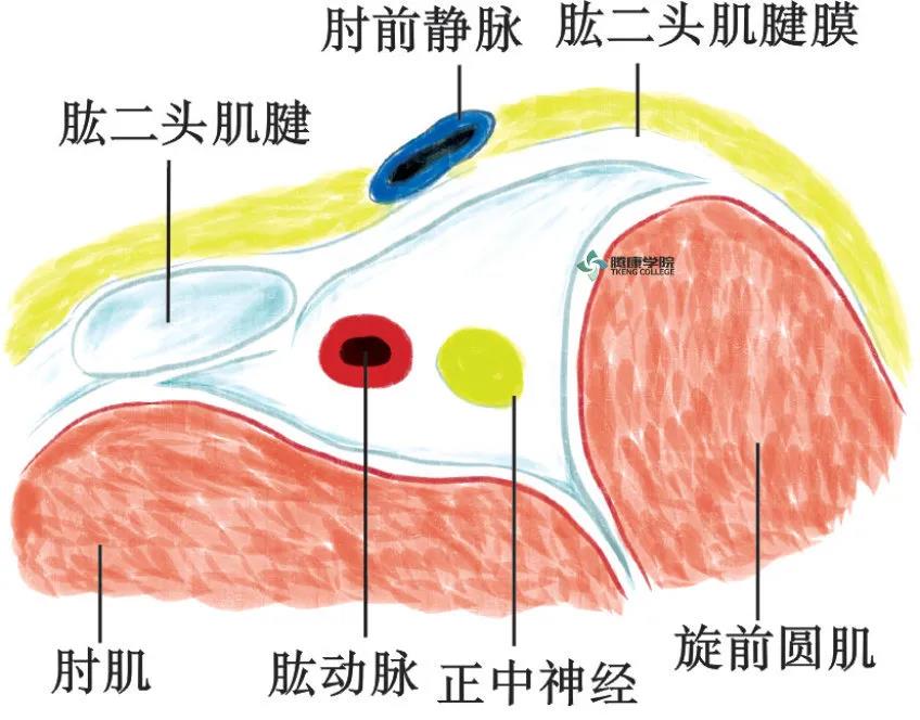 微信图片_20210420172218.jpg