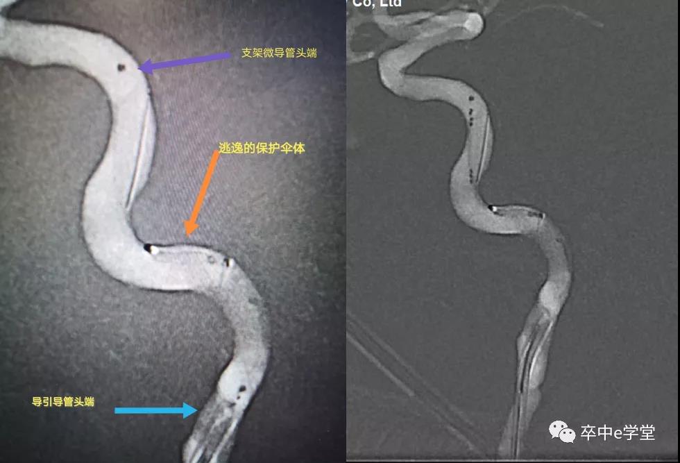 微信图片_20210310162851.jpg