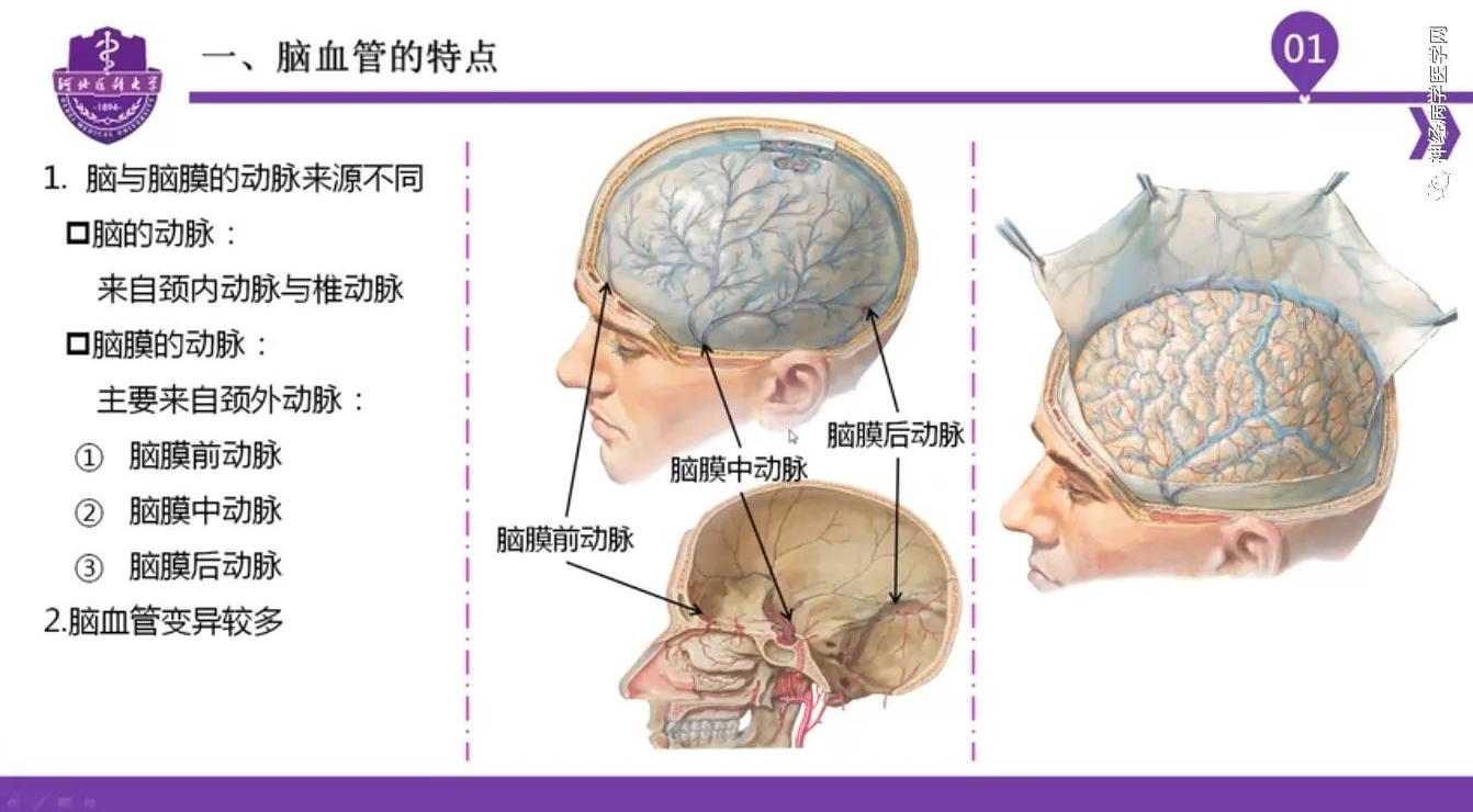 微信图片_20210701134446.jpg