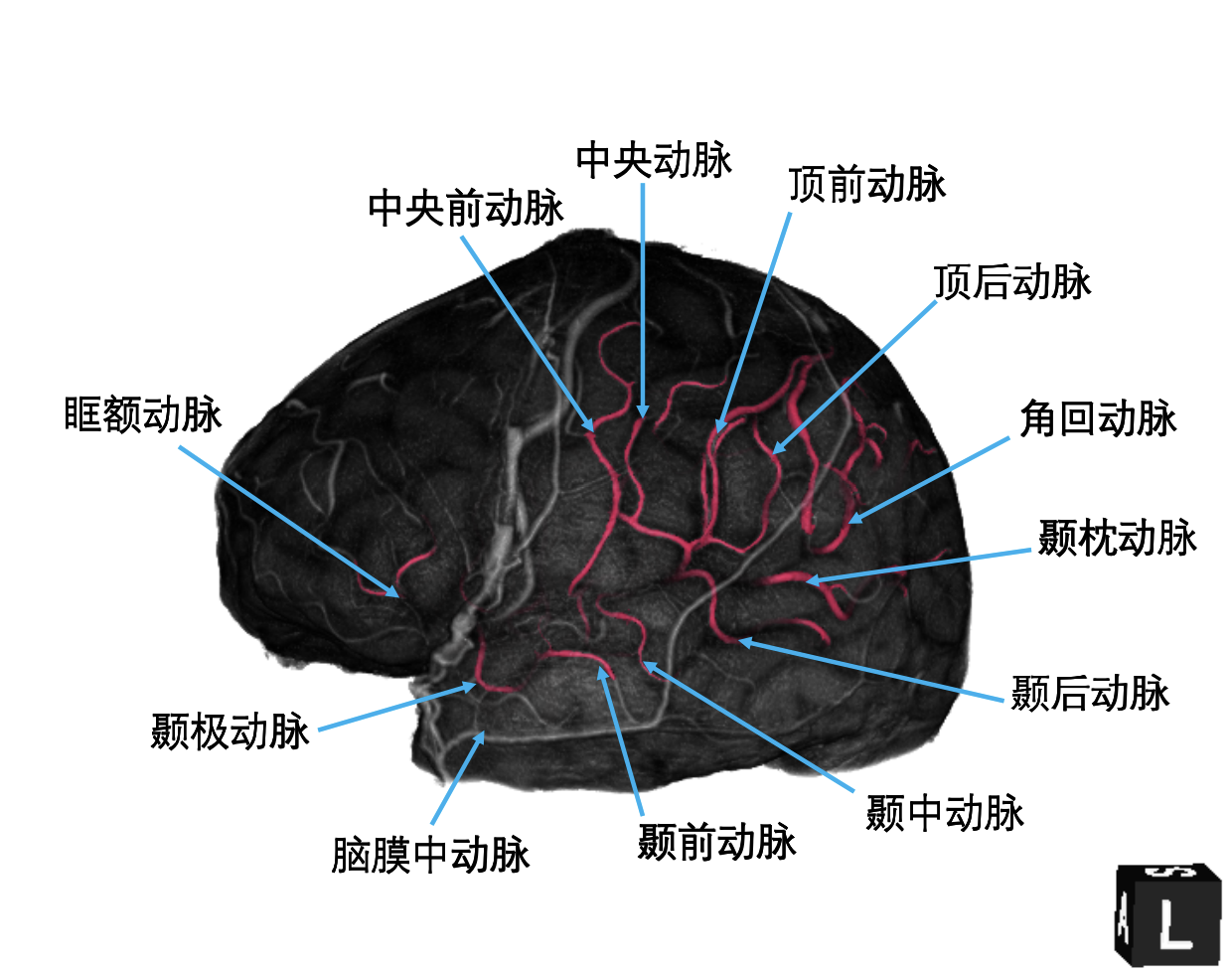 微信图片_20210319171830.png