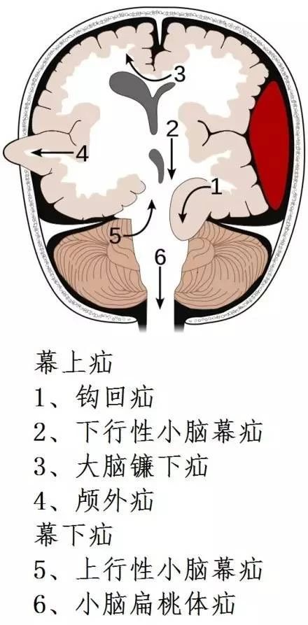 微信图片_20220616155109.jpg