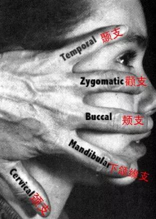 微信图片_20220616155115.jpg