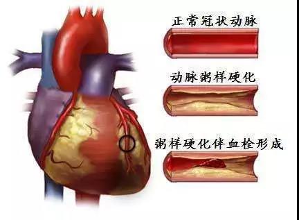 微信图片_20201217160302.jpg